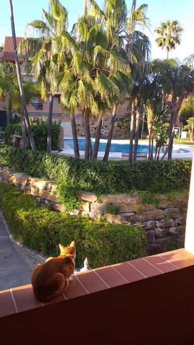 Planta Baja Cerca De La Playa Casares Costa Διαμέρισμα Εξωτερικό φωτογραφία